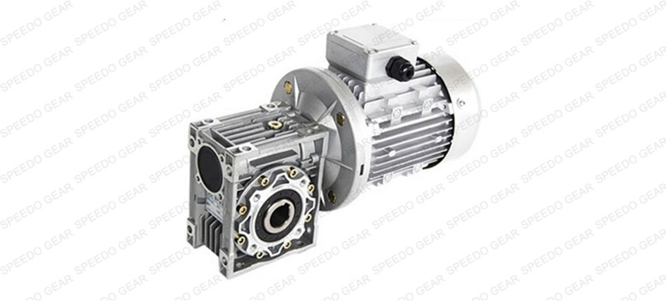 Worm Gear Motor